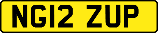NG12ZUP