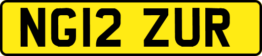 NG12ZUR