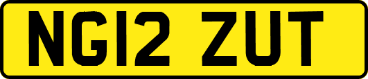 NG12ZUT