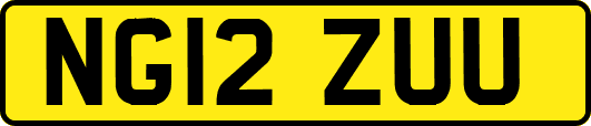 NG12ZUU
