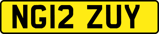 NG12ZUY