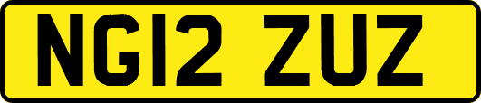 NG12ZUZ