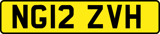 NG12ZVH