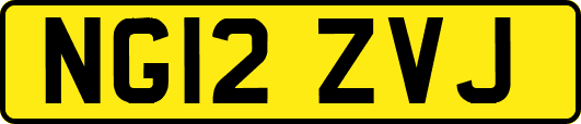 NG12ZVJ