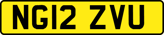 NG12ZVU