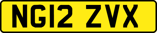 NG12ZVX