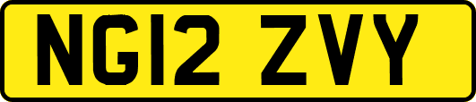 NG12ZVY