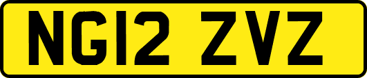 NG12ZVZ
