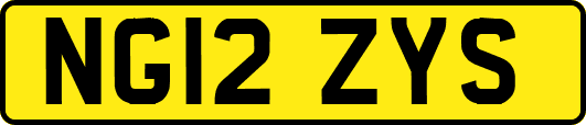 NG12ZYS