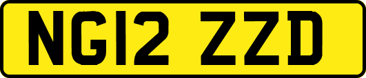 NG12ZZD