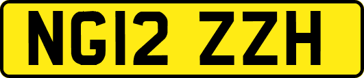 NG12ZZH