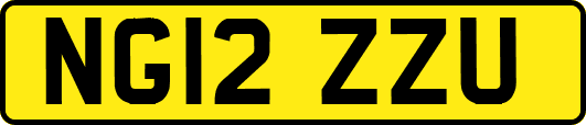 NG12ZZU