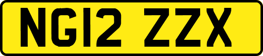 NG12ZZX
