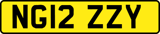 NG12ZZY