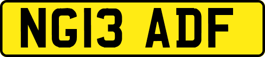 NG13ADF