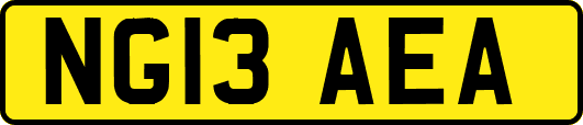 NG13AEA