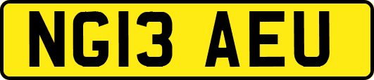 NG13AEU