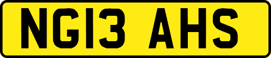 NG13AHS