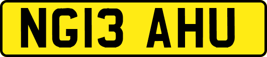 NG13AHU