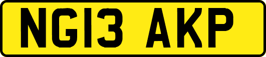 NG13AKP