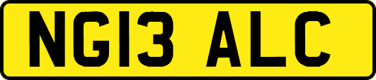 NG13ALC