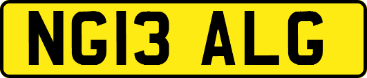 NG13ALG