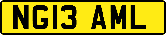 NG13AML