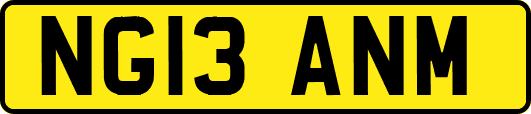 NG13ANM