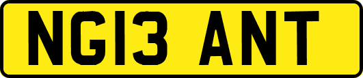 NG13ANT
