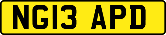 NG13APD