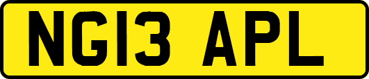 NG13APL