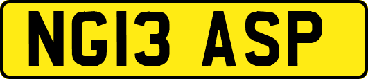 NG13ASP