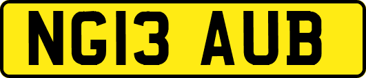 NG13AUB