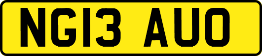 NG13AUO