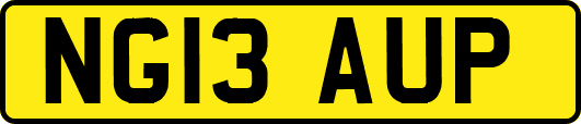 NG13AUP