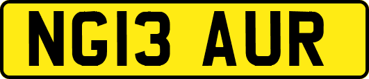 NG13AUR