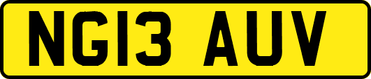 NG13AUV