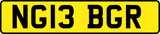 NG13BGR