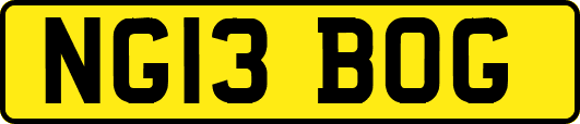 NG13BOG