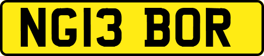 NG13BOR