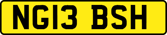 NG13BSH