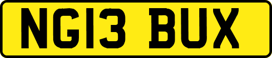 NG13BUX