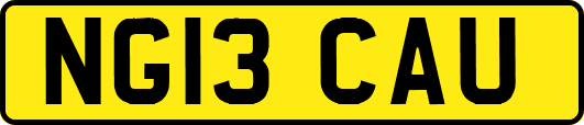 NG13CAU