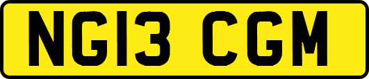 NG13CGM