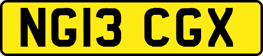 NG13CGX
