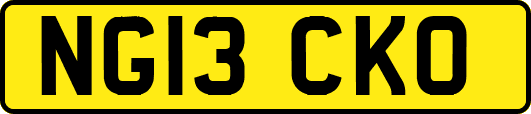 NG13CKO