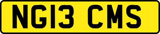 NG13CMS