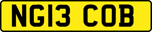 NG13COB