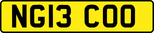 NG13COO