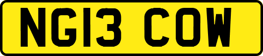 NG13COW